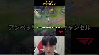 レベチPeyzのジン