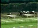1981 Belmont Stakes