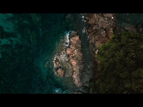 Kaine dot Co - Circulate feat. 釈迦坊主, Dogwoods (Music Video)