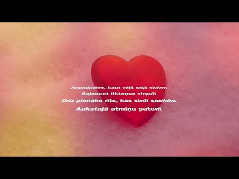 Sandris Dubovs - Nepadodies