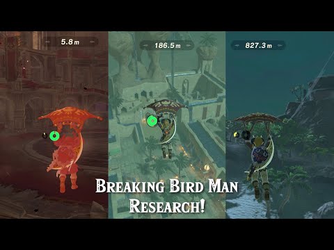 What Happens If... You Try to Break the Bird Man Research Mini Game (in Zelda Breath of the Wild)?