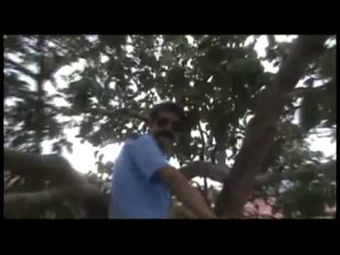 Los Maresias - Ki-Suque Metal (Acordei Dolorido)