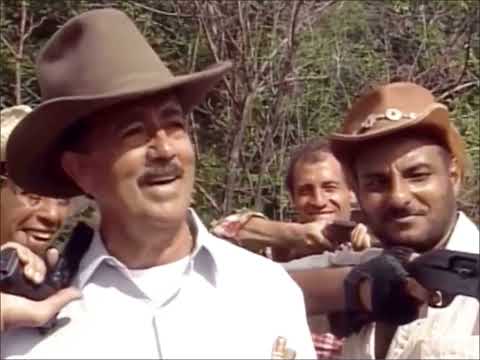 🇻🇪 pura sangre 🇻🇪