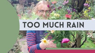 What to do in the garden when it's raining 💧💧💧