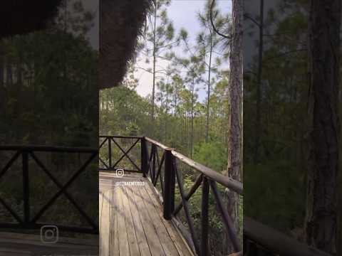 Cuba es muy hermosa... Más Pinar del Río. #Cuba #mantua