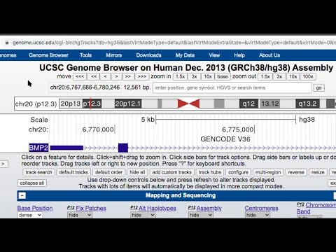 UCSC Genome Browser Tutorial video