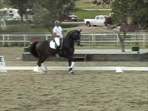 Steffen Peters' Kur with Ravel  2009