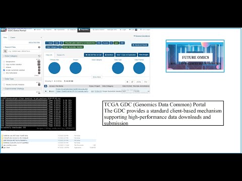 GDC Data Transfer Tool Client