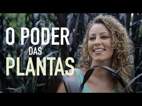 A ENERGIA das PLANTAS tem o PODER de mudar VIDAS