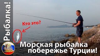 Рыбалка в турции на средиземном море с берегами