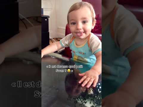 GLOW UP DE SWAN ! 😮 #firstshortvideo #neotheone #swan #pourtoi