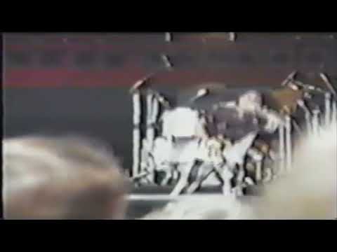 Faith No More - (Mike Patton) (Jim Martin) Live at Roskilde Festival, Denmark 6-30-90 The Real Thing