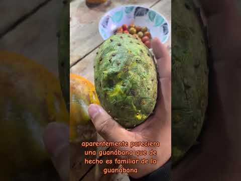 Esto es campo y tradición.
