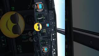 Der CoPilot aus dem YouTube - Live Flug LOWI-EDXW - 2024-12
