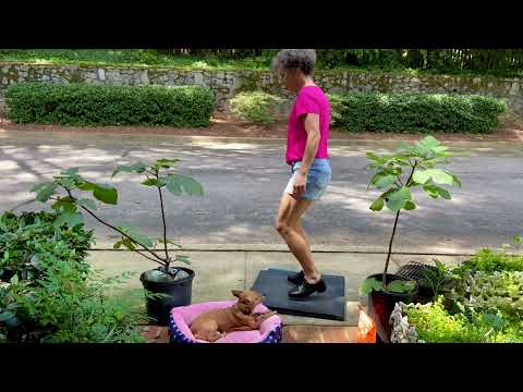 TGIF Ebenezer Buckdance -  Miss Moonshine & her Dog ... & Fiddler Decosimo at Mt Airy 2017