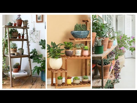 , title : '14 ideias de como ter plantas dentro de casa em lindos suportes'