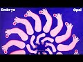 Embryo - Opal 1970 Krautrock, Jazz-Rock, Fusion  Full Album