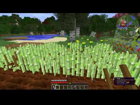 [Bears Den]Bevo's Tech Pack EP3 - Starting IC2 crops