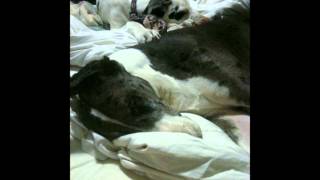 Qcumber's First Year