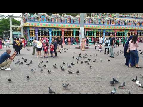 Feeding the pigeons at Batu Caves, Kuala Lumpur