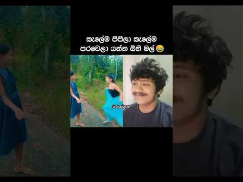කැලේම පිපිලා කැලේම පරවෙලා යන්න ඕනි මල් 😂 #sajiya #srilanka #funny #shorts #sinhala #comedy #memes