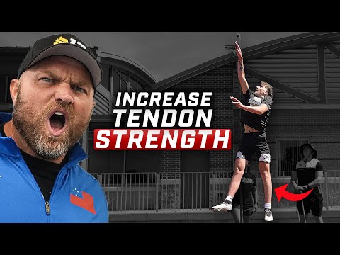 The 5 Proven Methods to Bulletproof Your Tendons And Avoid Injury