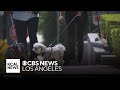 Pet Owners Call Out Rover Com To Better Screen Pet Sitters On Your Side