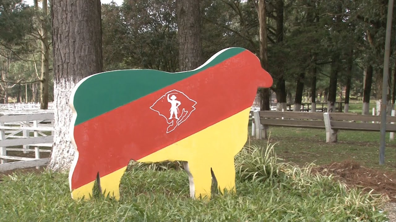 Encontro Regional de Ovinos é realizado em Pinheiro Machado/RS | Programa Terra Sul