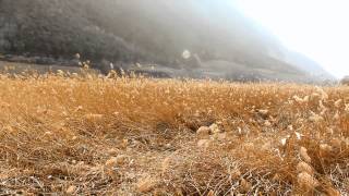 July Skies - Girl on the hill