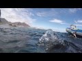 Duiker Island Sealdive - Tauchen mit Seebären, Seals, SeebärenInto the Blue, Südafrika