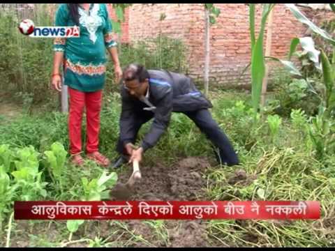 BUSINESS TODAY (2073/3/9)-NEWS 24