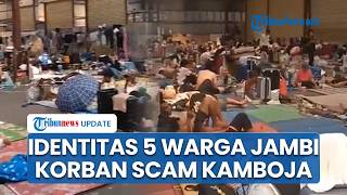 5 Warga Jambi Korban Scam Kerja di Kamboja Bisa Pulang, Ada yang Berasal dari Muara Bulian