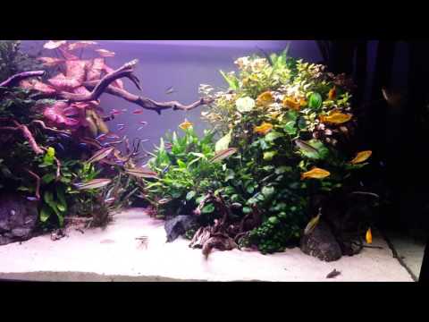 185 Gallon - September 30 2015