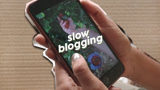 SLOW BLOGGING - A INTERNET NA VELOCIDADE DA VIDA