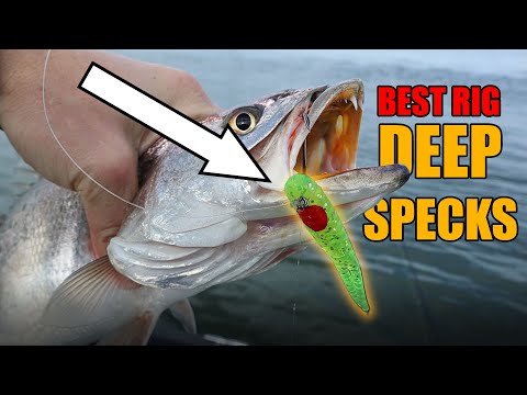 The Best Rig For Deep Speckled Trout: The Heavy Drop Shot