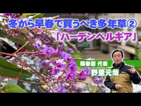 園芸 ビルバーギーはかがんだ