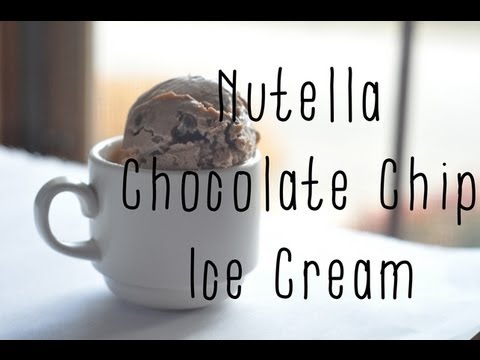 Nutella Chocolate Chip Ice Cream (TheVegetarianBaker)
