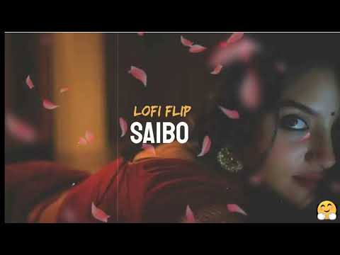 SAIBO ✨ SLOWED + REVERB✨ | LOFI MASHUP | LOVE❤ MASHUP🥰| TSG LOFI 420