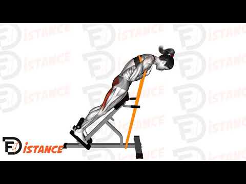 Banc à lombaire 45 degrés avec élastique - Exercice Banc à lombaire 45 degrés avec élastique en vidéo Banc à lombaire 45 degrés avec élastique - Exercice Banc à lombaire 45 degrés avec élastique en vidéo