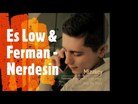 Es Low Ferman Nerdesin