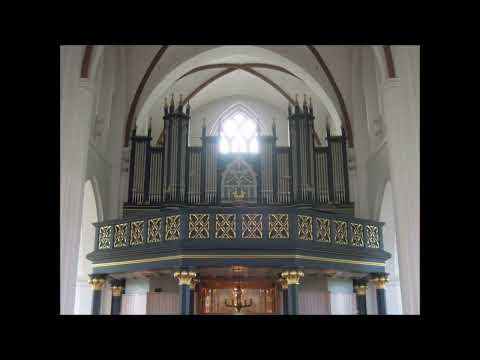 Gustaf Mankell (1812-1880) - Organ Sonata n.5 in C major [4/5]