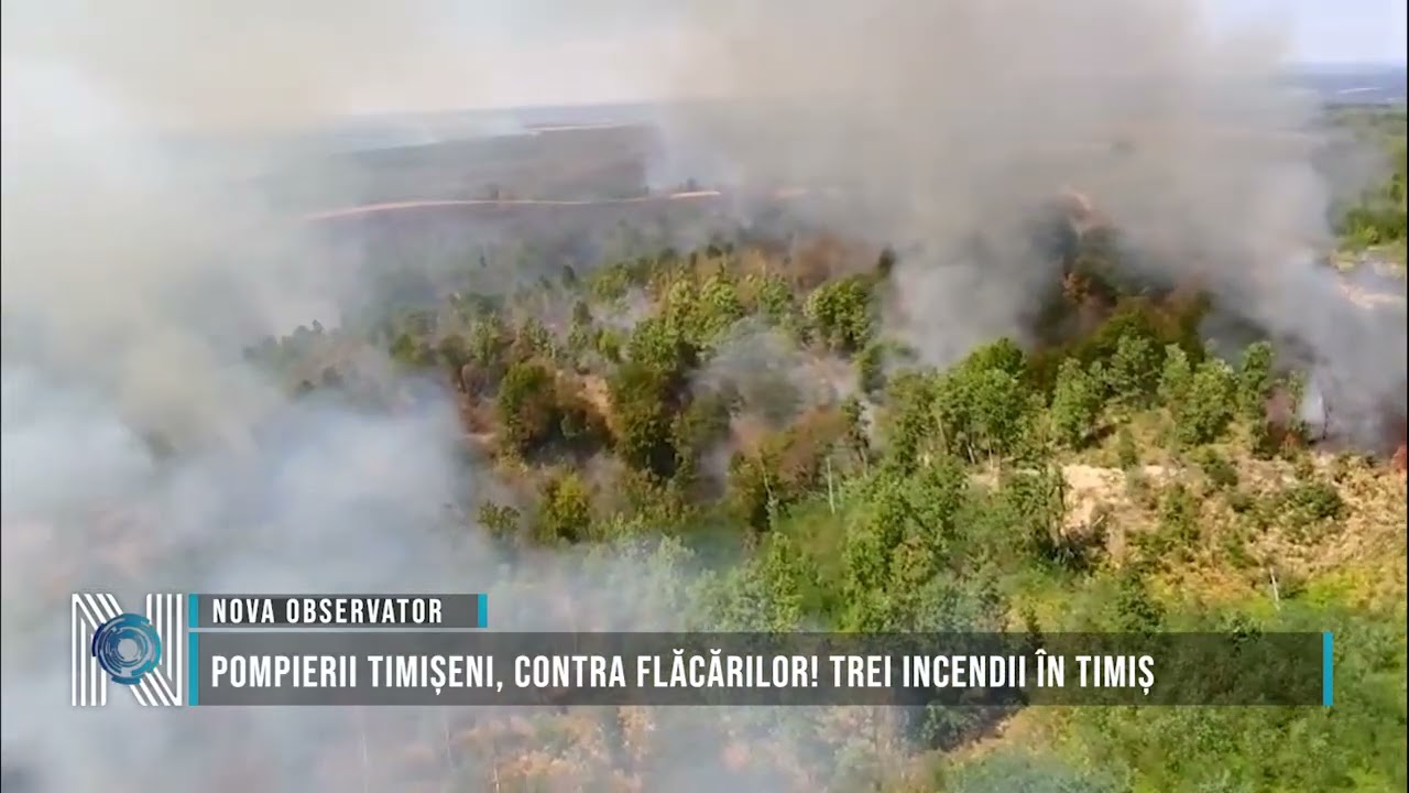 Pompierii timișeni, contra flăcărilor! Trei incendii în Timiș