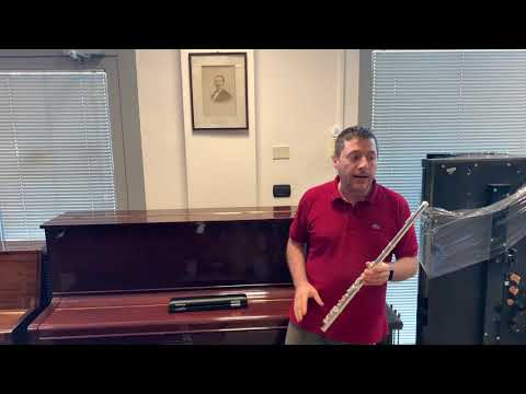 PROVA del FLAUTO TRAVERSO Lucien FL206S a cura di borsarionline.it