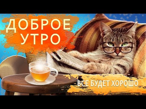 ☀️Доброе утро☀️ПРИКОЛЬНОЕ ПОЖЕЛАНИЕ для друзей☀️#доброеутро  #пожеланиедлядрузей