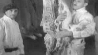 Cyanotic - Order out of Chaos