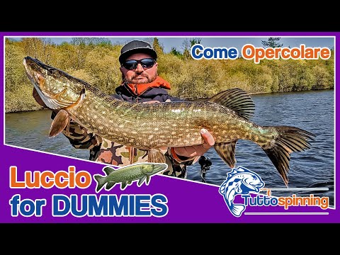 Come fare l'OPERCOLARE a un LUCCIO 🐊 Luccio for Dummies