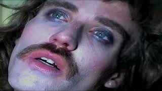 Video City Slicker de Gogol Bordello