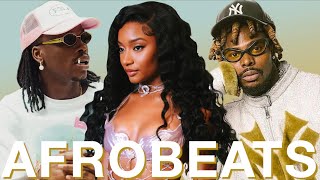 AFROBEAT BEST OF 2024 NAIJA VIDEO MIX (23, 22) TYLA, FIREBOY, OMAH LAY, CHRIS B, WIZKID, TEMS, ASAKE