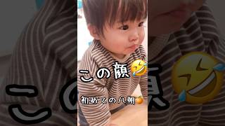 初めての八朔🍊を食べたら衝撃！！！？🤣 #赤ちゃん #赤ちゃんのいる生活 #1歳児 #クォーター #クォーターベビー #三兄弟 #末っ子 #初めてシリーズ #八朔 #shorts