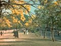 Watch Kannada Hit Songs O Nalle From Dr Raj Hits